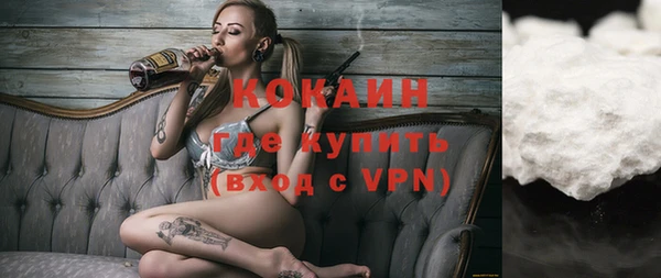 крисы Бронницы