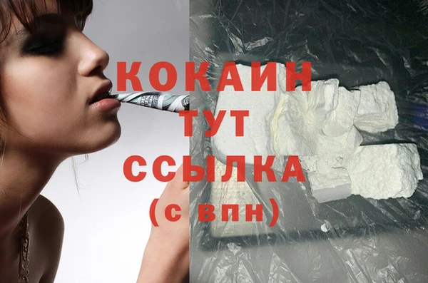 крисы Бронницы