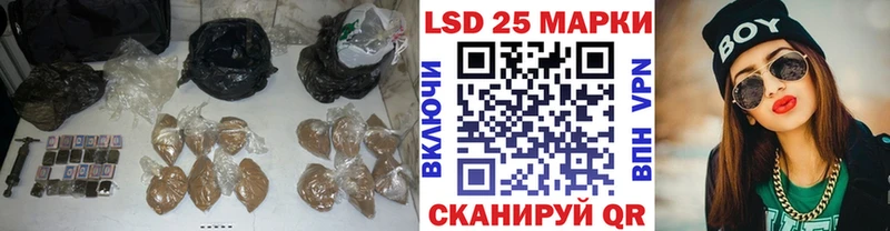 MEGA маркетплейс  Кашин  LSD-25 экстази кислота  где купить наркоту 
