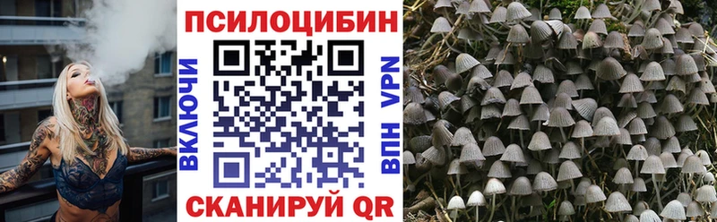 Псилоцибиновые грибы мицелий  где можно купить наркотик  Кашин 